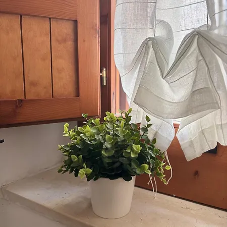 Sanvitoventi Apartment